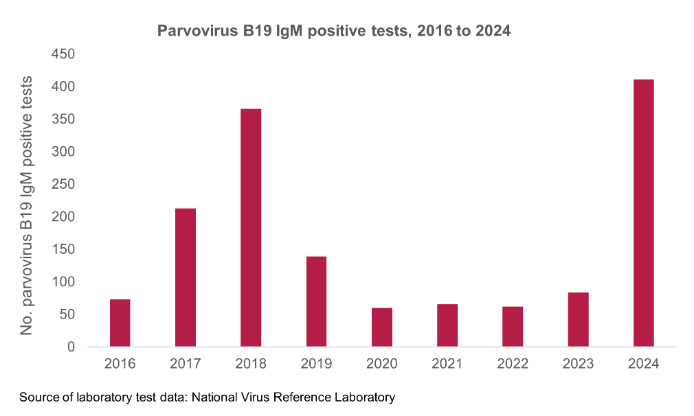 Parvovirus 2024